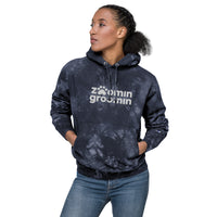 Embroidered Unisex Champion tie-dye hoodie